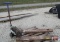 Werres Pallet Jack -Unknown