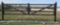 TM18-NCB 20' Heavy Duty Dual Swing Decorative Iron Entry Driveway Gates Mounted On Posts S#0210