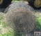 1 Roll Woven Wire