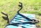 Reese Tow Champ Towing Hitch, Towed Vehicle Max Weight 5000lb * Behind J