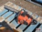 Echo 351VL Chainsaw (Unknown)