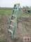 Louiville Green & Yellow Ladder
