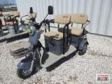 IRGC 40 Mini Golf Cart/Tricycle, Led Smart Screen, 3 Speeds, 60 Volt, 20A Long Life Battery S#1812