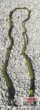Tow Rope *A10
