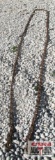 22' Log Chain With Hooks *A24