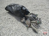 48+/- Duck Decoys, Corded & Weighted, Black Bag *B8