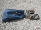 24+/- Duck Decoys, Corded & Weighted Blue Bag *B8