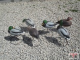 6+/- Standing Duck Decoys, Brown Bag *B12