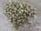 MIze Z865A 50pc 1/8