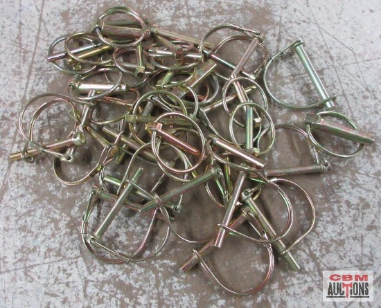 Wire Lock & Lynch Pin Assortment