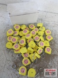 Dumb Blond's Keychain Tape Measures - Set of 48(+/-)