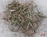 Wire Lock & Lynch Pin Assortment