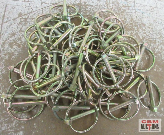 DHH21920 1/4" x 1-9/16" Lynch Pins - Set of 50(+/-)