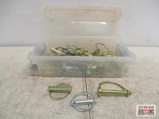 Assortment Of Hitch Pins