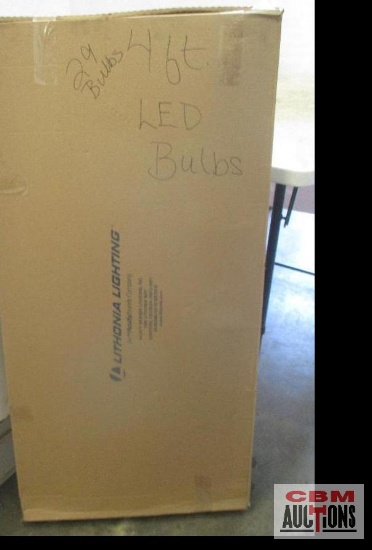 4' Light Bulbs *3