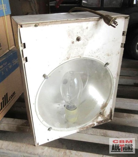 Large Light *3