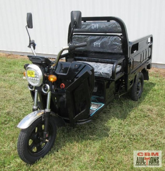 SDLanch ET13 Electric Tricycle, Dump Bed, Fold Downsides, Lights, Storage Box, 800 Watt Motor, Large