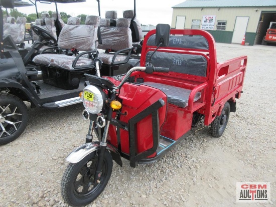 SDLanch ET13 Electric Tricycle, Dump Bed, Fold Downsides, Lights, Storage Box, 800 Watt Motor, Large