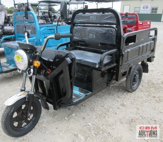 SDLanch ET13 Electric Tricycle, Dump Bed, Fold Downsides, Lights, Storage Box, 800 Watt Motor, Large