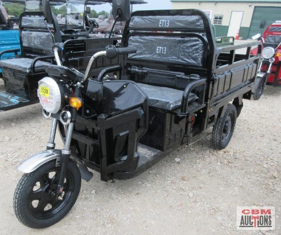 SDLanch ET13 Electric Tricycle, Dump Bed, Fold Downsides, Lights, Storage Box, 800 Watt Motor, Large