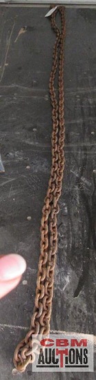 Log Chain 19' With 2 Hooks *B12