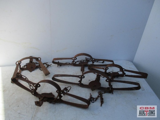 Small Animal Traps