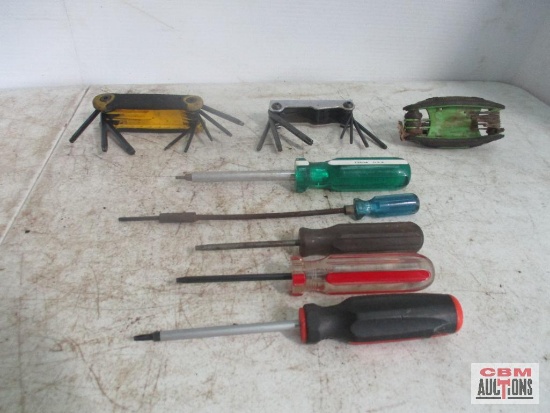 Assorted Torx Tools
