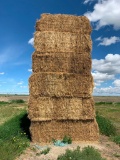 Qty (12) 2019 Alfalfa Square Hay Bales