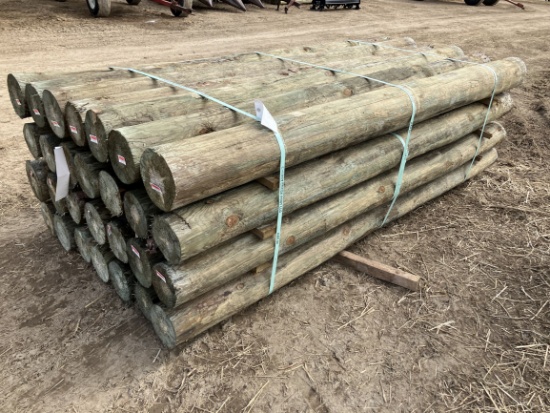 (28) 6" x 8' Treated Fence Posts