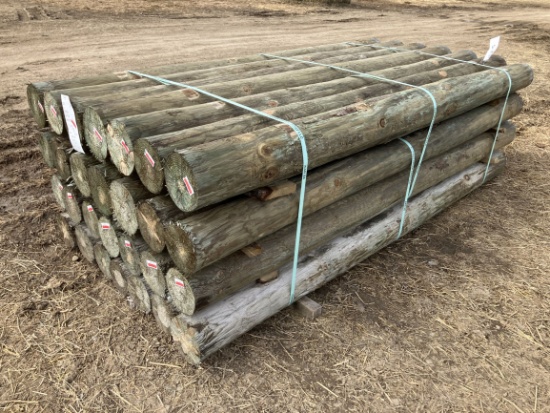 (28) 6" x 8' Treated Fence Posts