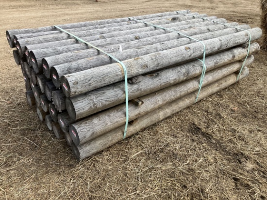 (32) 5" x 8' Treated Fence Posts