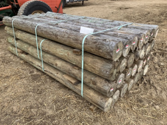 (28) 6" x 8' Treated Fence Posts