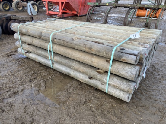(32) 5" x 8' Treated Fence Posts