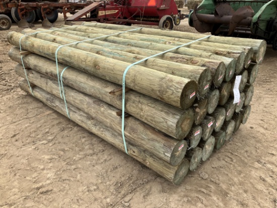 (28) 6" x 8' Treated Fence Posts
