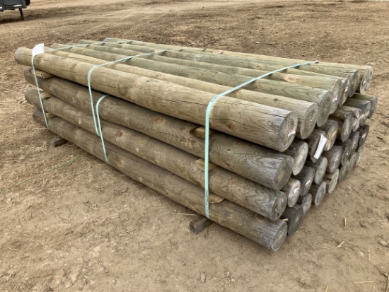 (32) 5" x 8' Treated Fence Posts