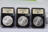 2011 Silver Eagle Grouping