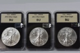 2011 Silver Eagle Grouping