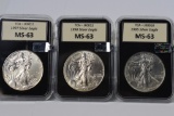 Silver Eagle Grouping
