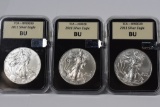 Silver Eagle Grouping