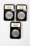 US Silver Peace Dollar Grouping