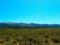 40 AMAZING Acres in Pershing County, NV - Where Your Next Adventure Awaits!