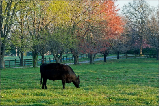 Paradise in the Natural State!