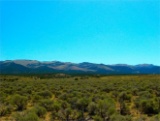40 AMAZING Acres in Pershing County, NV - Where Your Next Adventure Awaits!