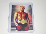 2020 ACEO HFCC POTUS DONALD TRUMP RARE ROCKY STYLE TRADING CARD VERY NEAT NOVELTY CARD POTUS