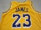 LEBRON JAMES SIGNED AUTOGRAPHED LOS ANGELES LAKERS JERSEY WITH COA