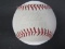 John Montefusco signed ROMLB baseball COA