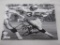 Cleo Miller Browns USFL signed auto 8x10 COA
