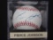 Pierce Johnson Padres signed ROMLB CAS COA