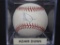 Adam Dunn Reds signed baseball MLB Authentic
