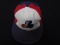 Andre Dawson Expos autogame worn hat FSG COA